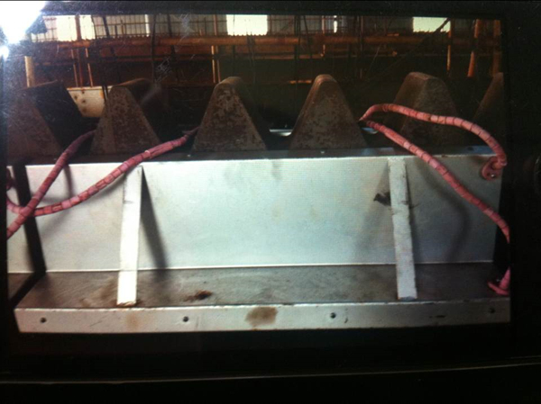 ��̎������